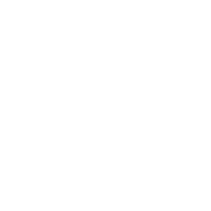 bmw_logo_platinium_cars