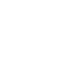 porsche_logo_platinium_cars